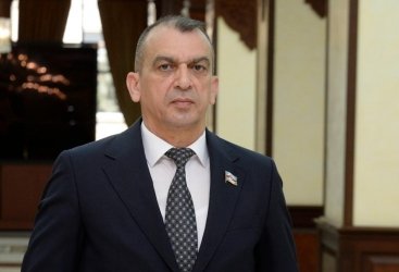 Pandemiya ilə mübarizədə Azərbaycanın uğurlu modeli