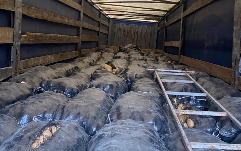 İrandan gətirilən 64 ton kartof geri qaytarıldı.