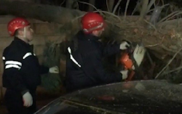 Şam ağacı avtomobilin üzərinə aşdı, yol bağlandı - Video