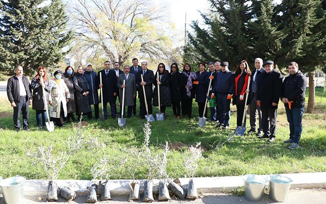 Azərbaycan Universiteti ağacəkmə aksiyası keçirib - Foto