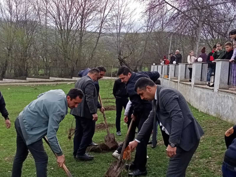 Ulu Öndərimizin 100 illiyinə həsr olunmuş ağacəkmə aksiyaları davam edir.