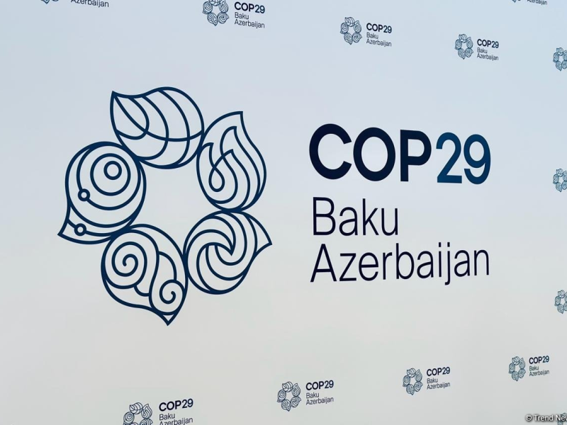 Professor-okeanoloq: COP29 Xəzərin problemlərinin müzakirəsi üçün mühüm platforma olacaq