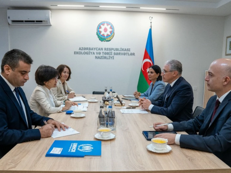 Muxtar Babayev BMT rəsmisi ilə COP29-a hazırlığı müzakirə edib