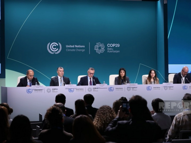 COP29-da İqlim və sağlamlıq üzrə Həmsədrlər Koalisiyası yaradıla bilər