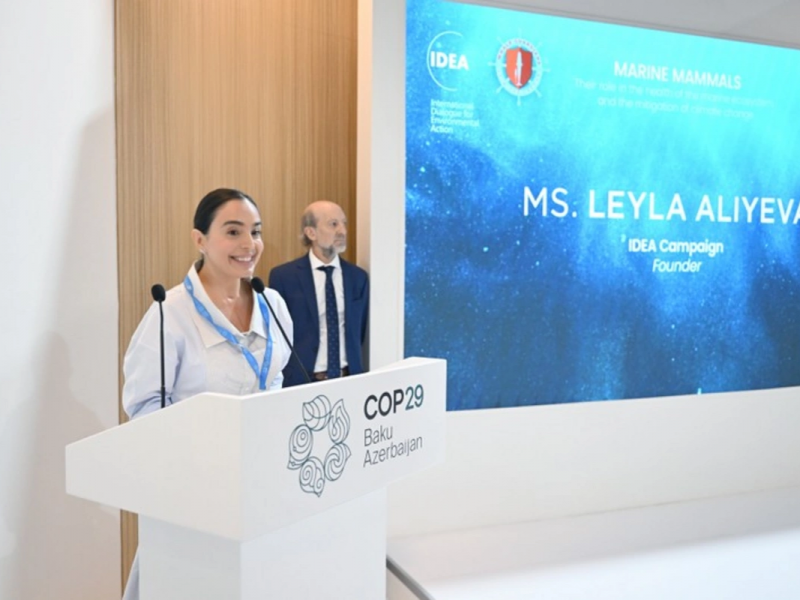 Leyla Əliyeva COP29 çərçivəsində dəniz canlılarına dair panel müzakirələrində iştirak edib