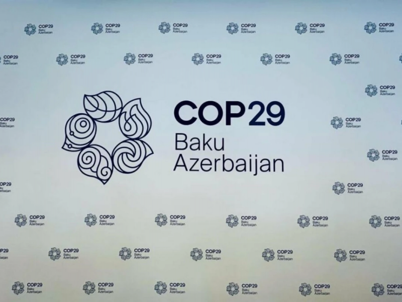 COP29 Sədrliyi bəyanat yaydı