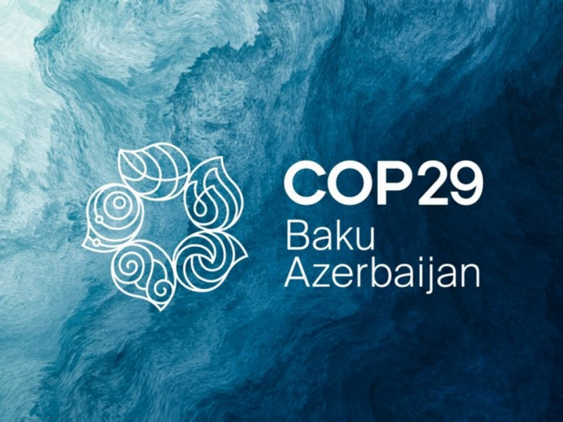 UNEP rəhbəri: Bakıda COP29-da bizim quracağımız təməl qoyulub