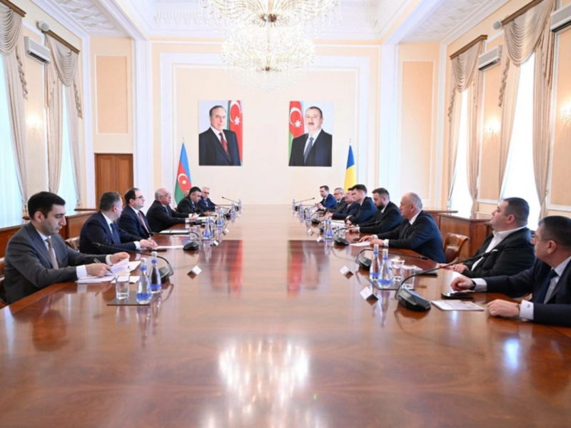 Əli Əsədov Rumıniya Parlamenti Senatının sədri ilə görüşüb