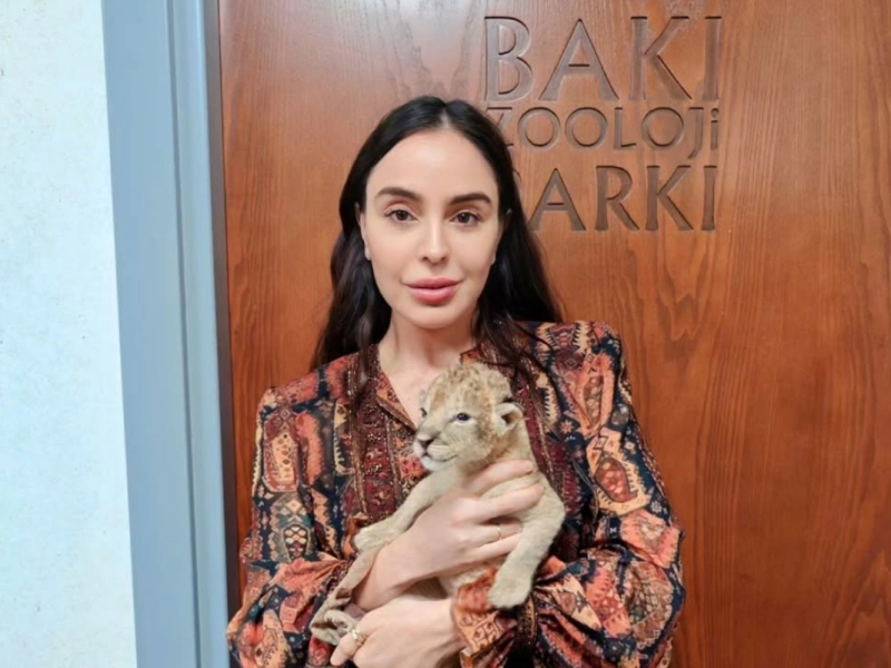 Leyla Əliyeva zooparkda yeni dünyaya gələn şir balası ilə görüntülərini paylaşdı