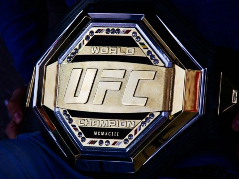 UFC-nin iki məşhur döyüşçüsü Bakıya gələcək