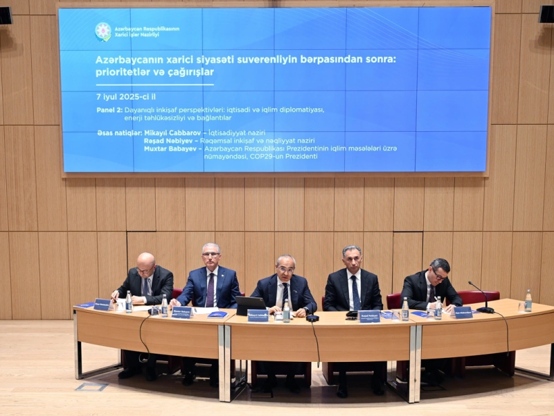 Mikayıl Cabbarov dayanıqlı inkişaf perspektivləri ilə bağlı panel müzakirədə iştirak edib