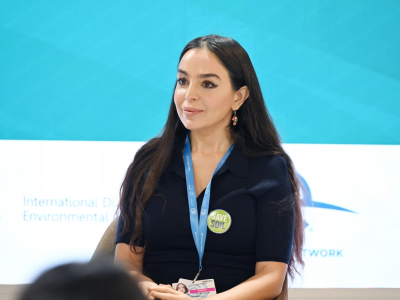 Leyla Əliyeva Oquldjaxan Atabayeva ilə görüşüb