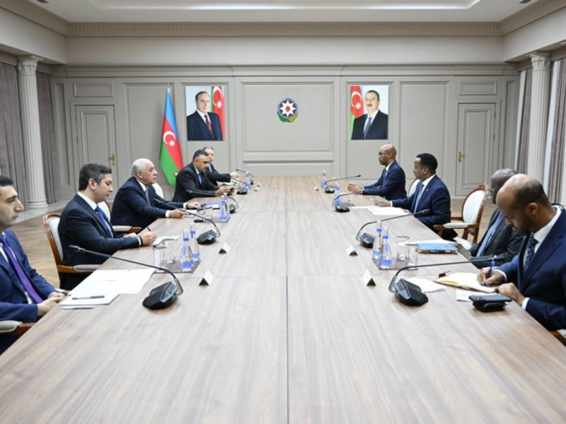 Əli Əsədov Somalinin xarici işlər və beynəlxalq əməkdaşlıq naziri ilə görüşüb
