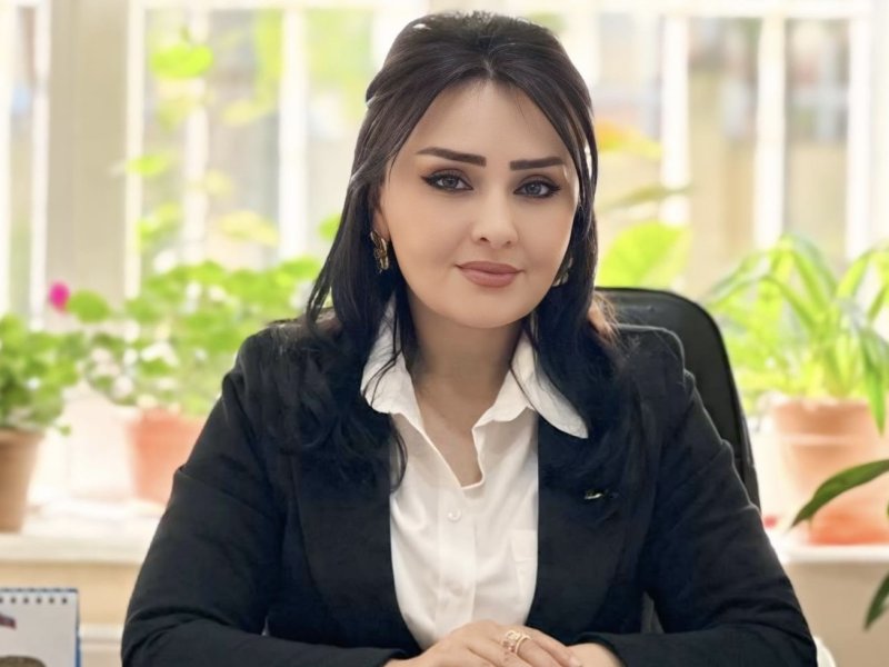 AZƏRBAYCAN DİPLOMATİYASINDA YENİ İNTEQRASİYA MƏRHƏLƏSİ: VAŞİNQTON GÖRÜŞÜ