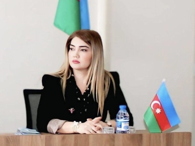 Qarabağ Azərbaycandır: Güclü Lider, Güclü Dövlət, Sarsılmaz Xalq