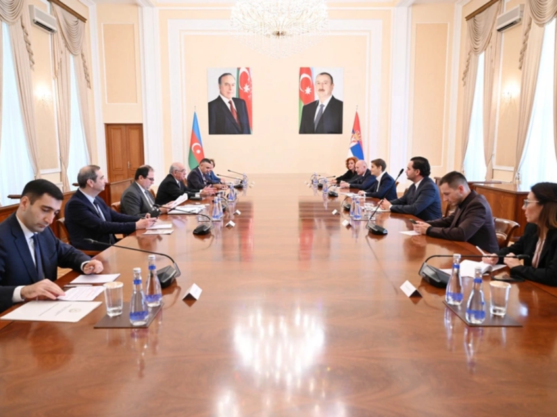 Əli Əsədov Serbiya Milli Assambleyasının sədri ilə görüşüb