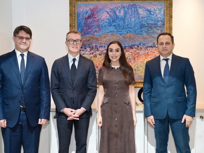 Leyla Əliyeva ÜST-nin Avropa üzrə Regional Ofisinin xüsusi nümayəndəsi ilə görüşüb
