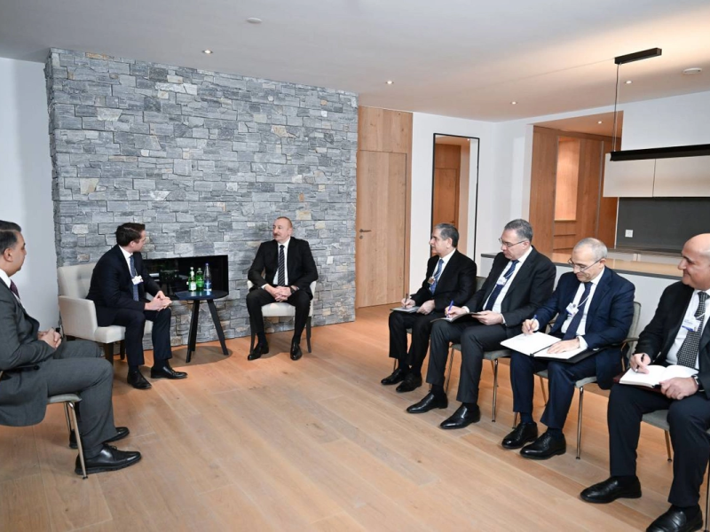 İlham Əliyev Davosda "Brookfield Asset Management" şirkətinin prezidenti ilə görüşüb