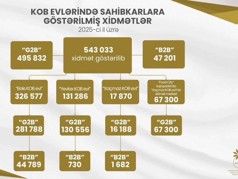 Ötən il KOB evlərində sahibkarlara 543 mindən çox xidmət göstərilib