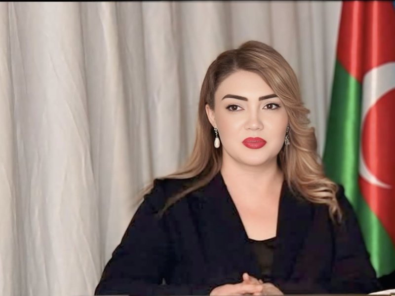 Zəfər Yurdu Ansamblının Tərəqqi Yolu və İnkişaf  Perspektivləri