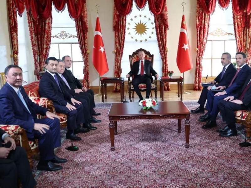 Ərdoğan TDT-yə üzv dövlətlərin xarici işlər nazirlərini qəbul edib