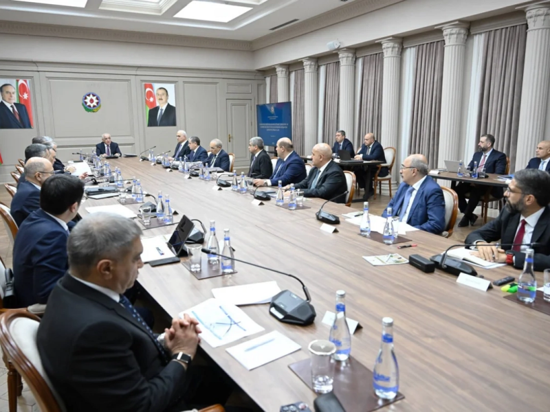 İqtisadi Şuranın və Azərbaycan İnvestisiya Holdinqinin Müşahidə Şurasının birgə iclası keçirilib