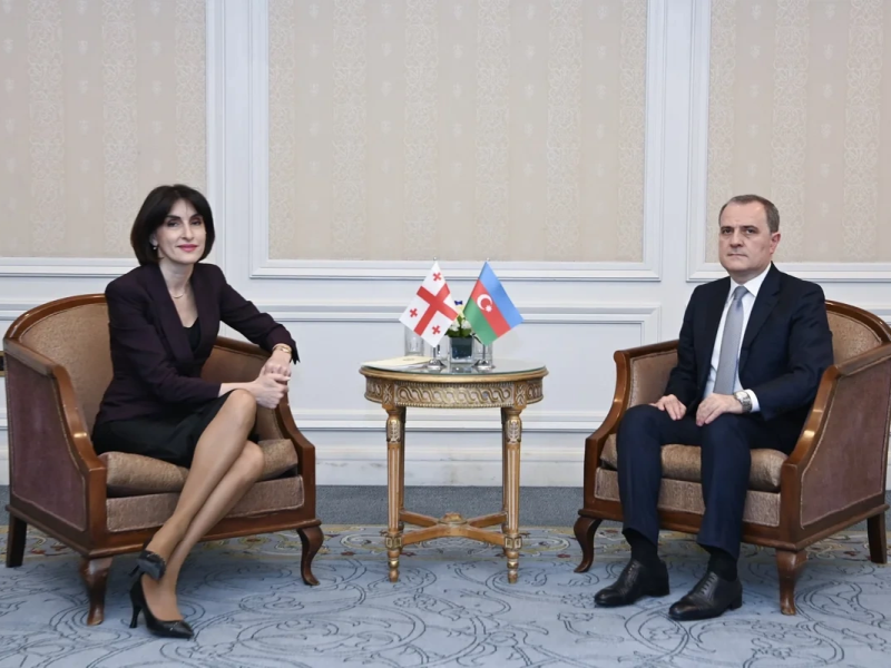 Azərbaycan və Gürcüstan XİN başçıları Cənubi Qafqazın əhəmiyyətini müzakirə ediblər