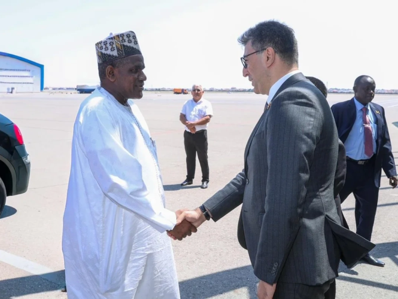 Niger Məsləhət Şurasının sədri Azərbaycana işgüzar səfərə gəlib