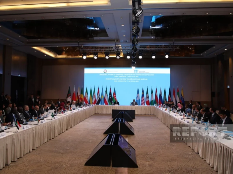 Pərviz Şahbazov: "Enerji siyasətimiz "OPEC+" platformasının məqsədləri ilə tam uzlaşır"
